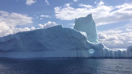 Icebergs - Our Frozen Visitors